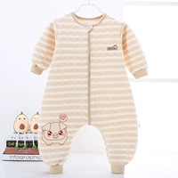 Хлопко-находная полосай свинья