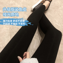 Pregnant woman shark skin beating underpants 90% Spring and autumn clothes thin female yoga pants outside wearing gush Barbie long pants autumn and winter