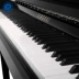 Xinghai thương hiệu chuyên nghiệp đàn piano thẳng đứng dành cho người lớn hộ gia đình mới máy tính để bàn đàn piano gỗ rắn 88 phím XU-23JA - dương cầm