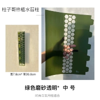 Прозрачная модель зеленого скраба среднего числа