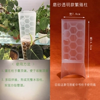 Размножение колонки матовая прозрачная модель среднего числа