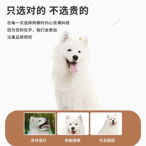 果味森 Samoyed Special Dog Food 40 Catties of Frozen -Drry -больших щенков собак в собаку -Universal 20 кг