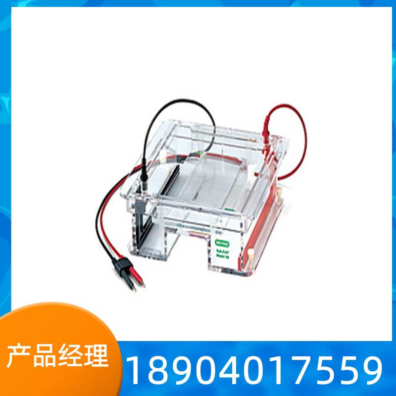 bio rad伯乐 SubCell GT水平电泳槽电泳仪电源 垂直槽 核酸电泳