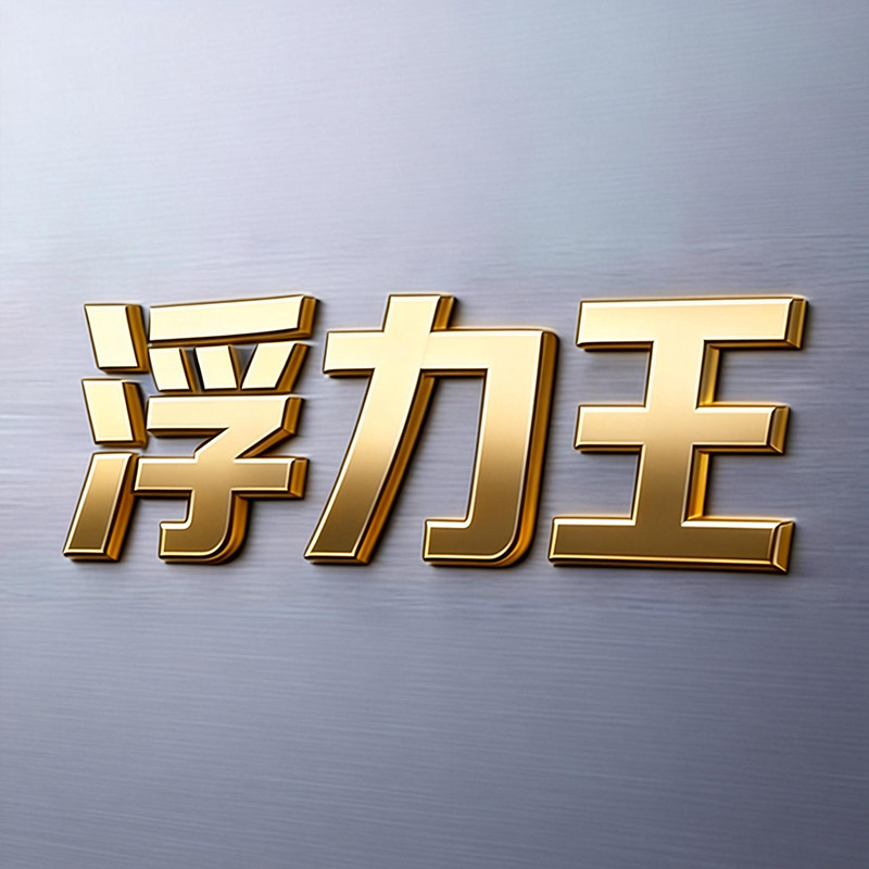 广东浮力王直销店的LOGO