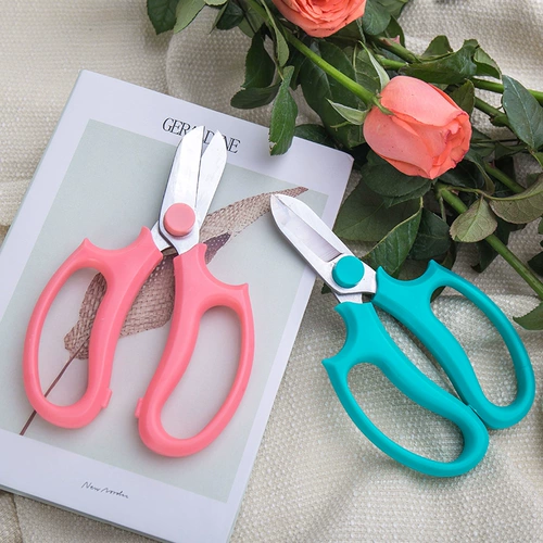 Садоводство цветочного искусства широко -ножницы для ножниц.