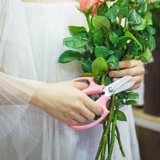 Садоводство цветочного искусства широко -ножницы для ножниц.