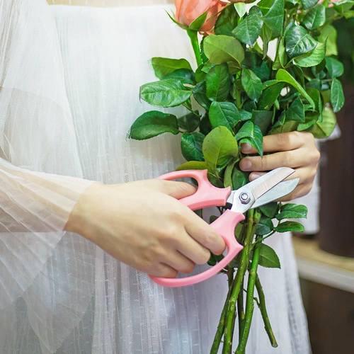 Садоводство цветочного искусства широко -ножницы для ножниц.