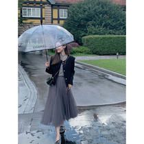 cchen Chen Chen_Advanced gauze skirt half-length womens spring and autumn 2022 new super fairy slim high waist gray mesh skirt