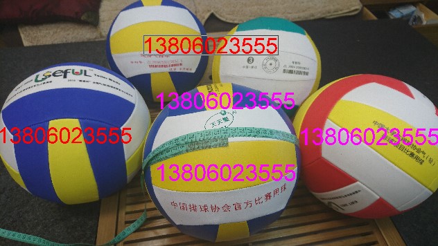 Ballon de volley-ball - Ref 2008000 Image 11