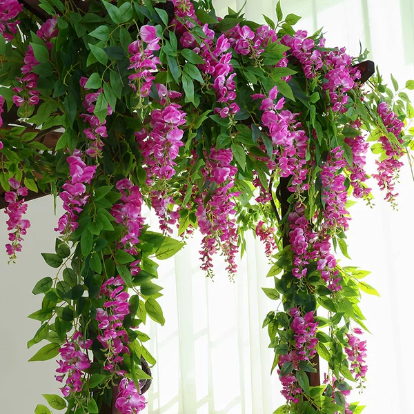 Товары от 花千韵植物