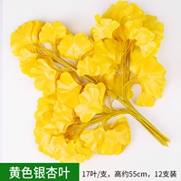 12 желтых листьев гинкго