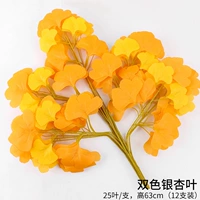 Два -торные листья гинкго 12