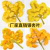 Товары от 花千韵植物