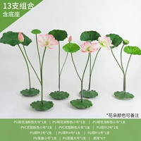 13 комплектов лотоса