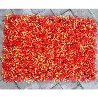 Sunset Red Super Milan