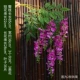 Два -Off -Time Staple Wisteria (ветви) фиолетовые 2 ветви