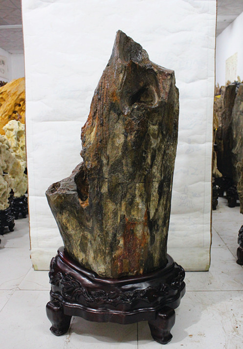 1 2 meters 400 catties tree fossil rich tree town house osmanthus tree natural rough stone boutique town house Taihu stone