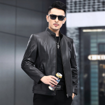 Haining leather men's single leather short tire cowhide large size collar zipper motorcycle leather jacket spring and autumn coat