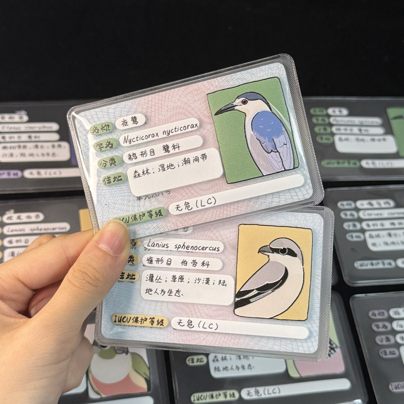 Become a Bird! Bird Id Card Holder Id Card Holder Bird-Themed Cultural and Creative Gifts for Bird Watchers Nature