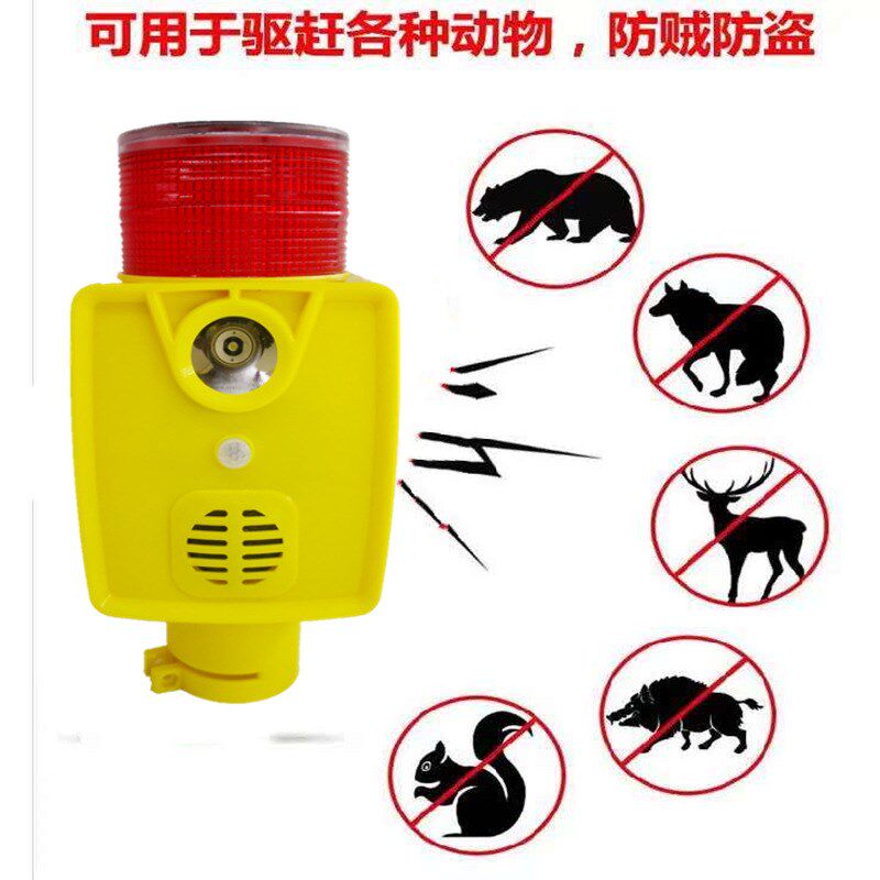WeChat Pictures_20200408175029