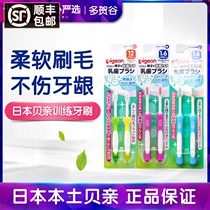 Japanese Baby Pro Baby Baby training toothbrush 12 months-18 months baby baby tooth toothbrush 2 sets