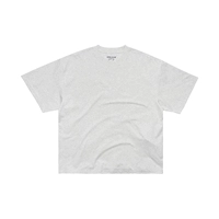 Снежинка пепла.