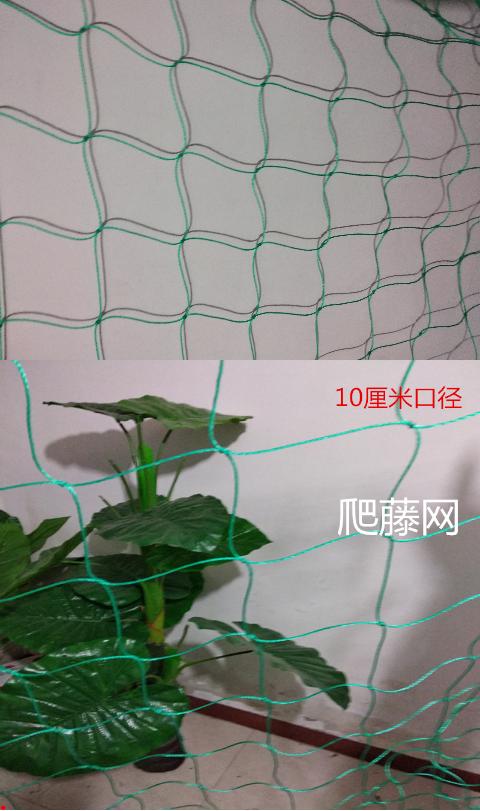 Trang chủ làm vườn dưa chuột leo cây leo lưới phiên bản nâng cao nylon cung cấp làm vườn lưới leo đắng bầu - Nguồn cung cấp vườn dụng cụ làm cỏ bằng tay