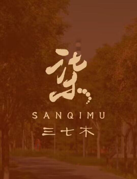 三七木手串的LOGO