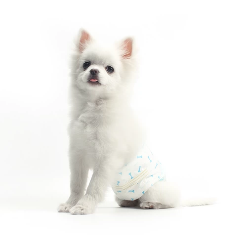 Собачья моча не является мокрой собакой Dog Diseed Displasma Физические брюки.