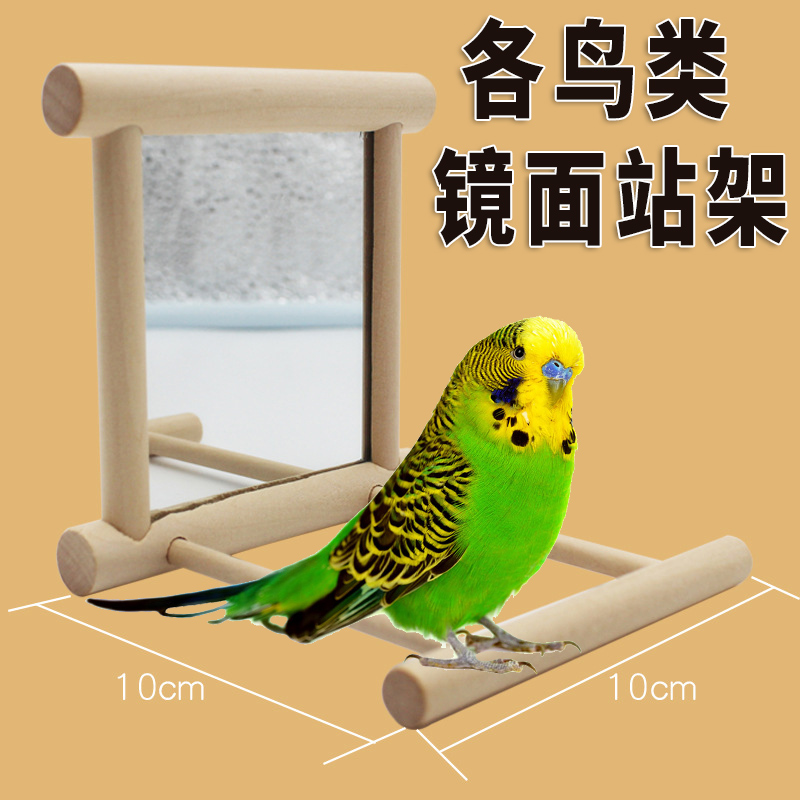 Parrot Station Rack Pigeon Supplies Utensils Bird Cage Accessories Big Whole Training Birds stand Branches Ocking Brow Parrot Toys