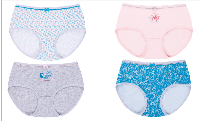 Slip jeunesse HODO DK300 en coton - Ref 639586 Image 10