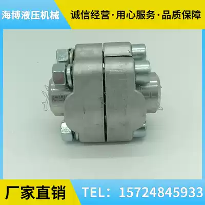 Stainless steel SAE two-piece flange 6000 3000PSI type B type BSF