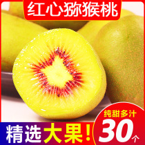 Now pick Pujiang red heart kiwi fresh fruit seasonal pregnant pregnant kiwi fruit whole box of 5 pounds