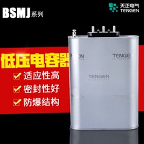 Tien Ji Electric Self-healing Low Voltage Reactive Power Compensation Parallel Power Capacitor BSMJ-0 45 123450KVA