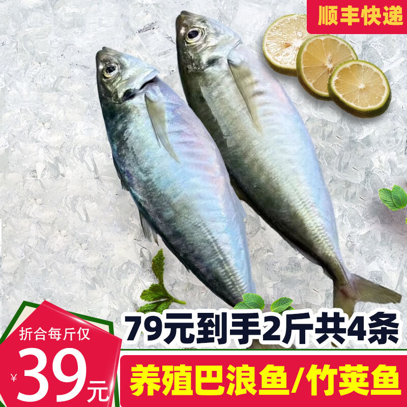 巴浪鱼怎么选?养殖竹荚鱼、蓝圆鲹刺巴鱼,哪种更好吃?🐟深度测评来了!--淘宝好物网