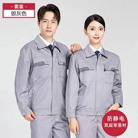 Серый набор [двойной слой с внутренней подкладкой]