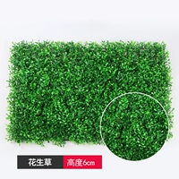 Крипто миланская трава