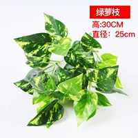 Зеленые ветви