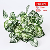 Белая точка таро