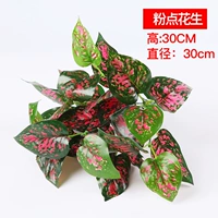 Розовый арахис