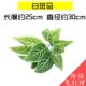 Cây xanh tường mô phỏng cây trang trí tường phòng khách nội thất nền hoa tường màu xanh lá cây treo tường nhựa giả ban công - Hoa nhân tạo / Cây / Trái cây bình hoa giả đẹp