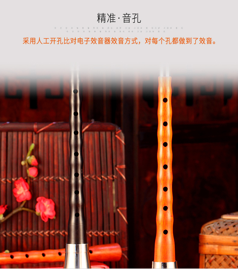 Xidian người mới bắt đầu mun mun dụng cụ pipa đầy đủ bộ D giới thiệu size kích thước người lớn quốc gia d sáo huân