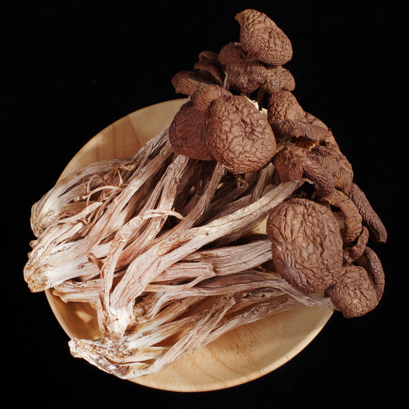 Tea tree mushrooms dry goods not open umbrella natural wild mushrooms fresh cut root tea tree mushrooms 500g