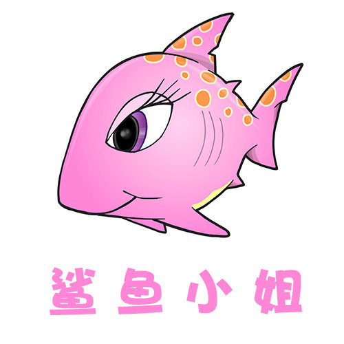 鲨鱼小姐泳衣