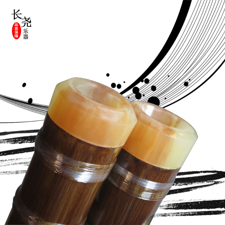 Sáo tre đắng cũ chuyên nghiệp thực hành chơi nhạc cụ sáo trúc hai sáo cho nhiều loại phụ kiện sáo - Nhạc cụ dân tộc mua cổ cầm