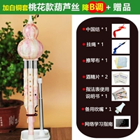 [Профессиональный уровень] Peach Blossom Trip Trip Light B Ten+подарки