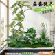 Simulated Green Plant Combination Landscaping under the Stairs, Tropical Artificial Plant Landscape, Artificial Trees, Indoor Potted Plant Decorations
