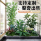 Simulated Landscaping Plants with a High-End, Realistic Feel, Indoor and Outdoor Floor-Standing Ornaments, Simulated Green Plants for Shopping Malls and Exhibition Halls, Photo-Worthy Decorations
