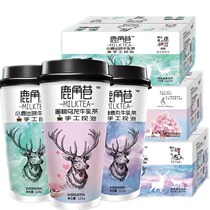 Lujiao Lane Milk Tea 20 cups * 123g whole box of good drink cup black sugar deer pill matcha 0 cane Net red hand shake girl