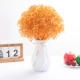Big Bunch Orange Full Sky (бутылка Gift Cloud Rong)